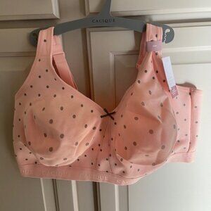 Lane Bryant Cacique Pink Polka Dot Cotton Unlined No-Wire Bra 44H NWT